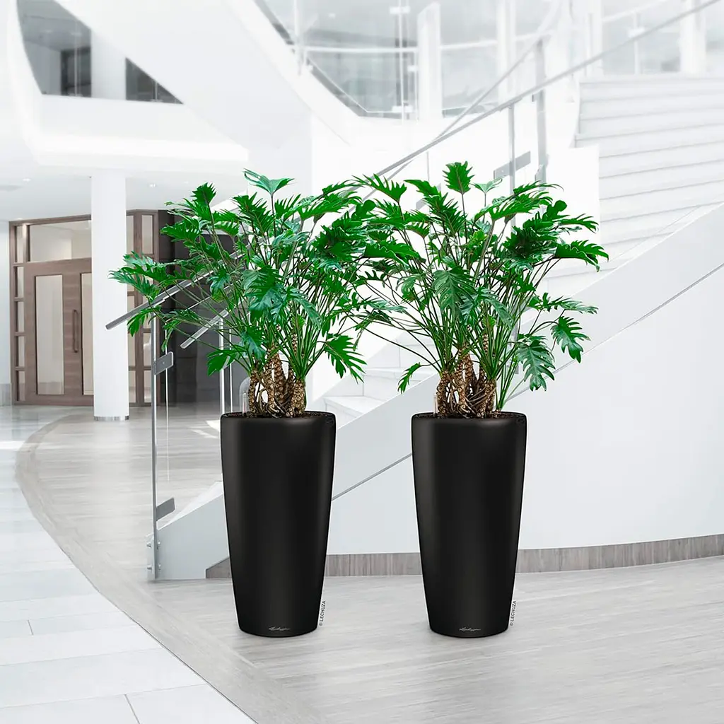 Вазон Lechuza Rondo 40 антрацитовий (15742) - фото 3