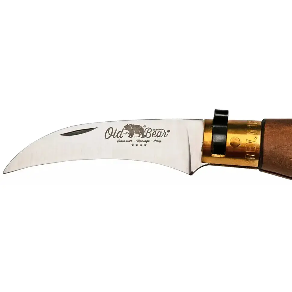 Ніж Old Bear Mushroom M, 420 steel, Walnut wood - фото 3