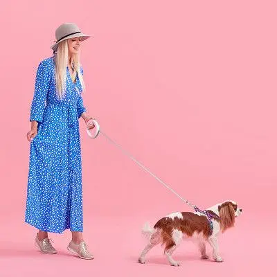 Повідець для собак WAUDOG R-leash світловідбиваюча стрічка XS-M до 40 кг 2.9 м рожевий (81277) - фото 7