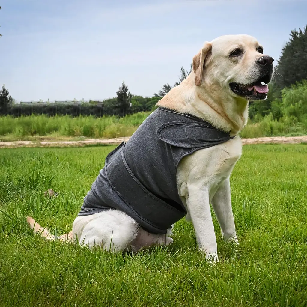 Заспокійливий жилет для собак WanTalk Dog Anxiety Jacket, Dark Grey - фото 5