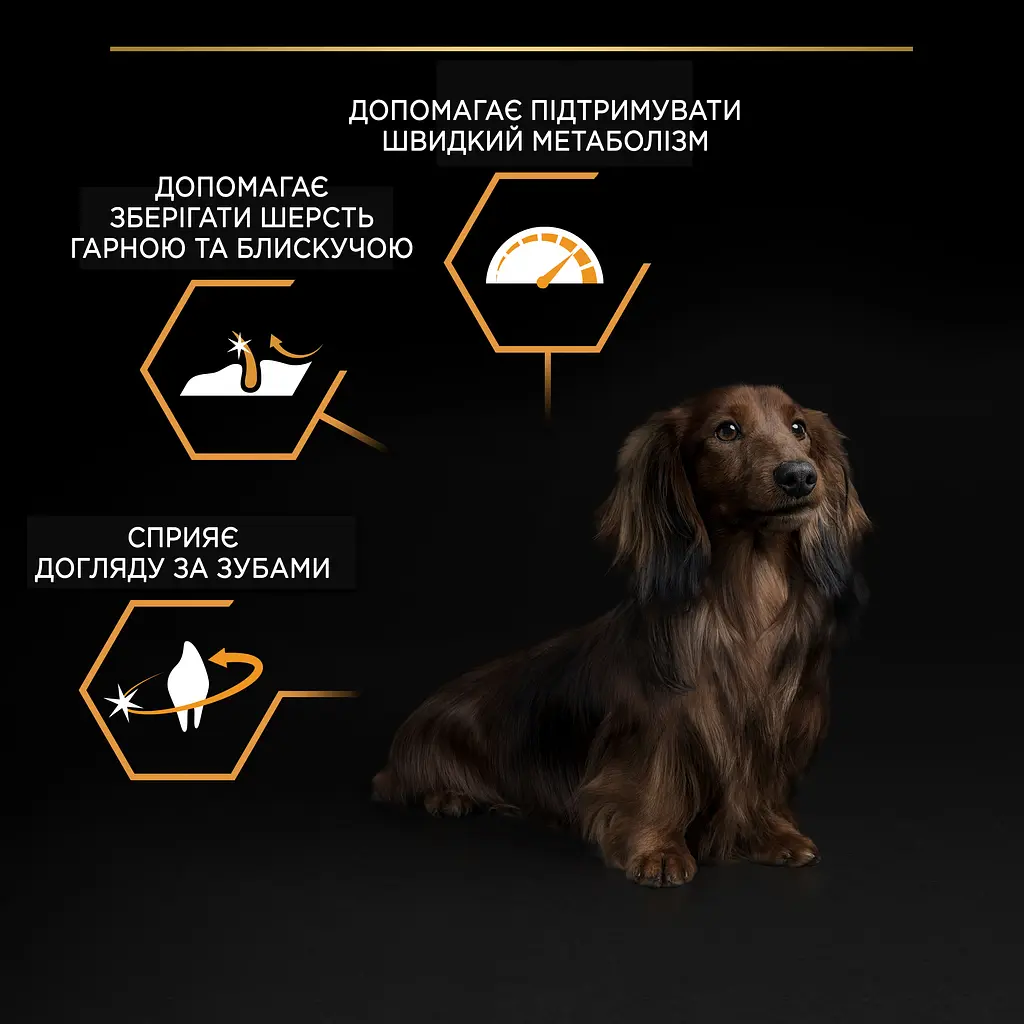 Сухий корм для дорослих собак дрібних порід Purina Pro Plan Adult Small & Mini, з куркою, 7 кг (12376022) - фото 7