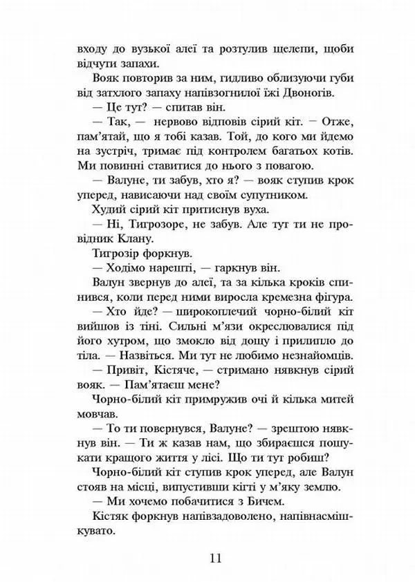Коти-Вояки. Темні часи - фото 4