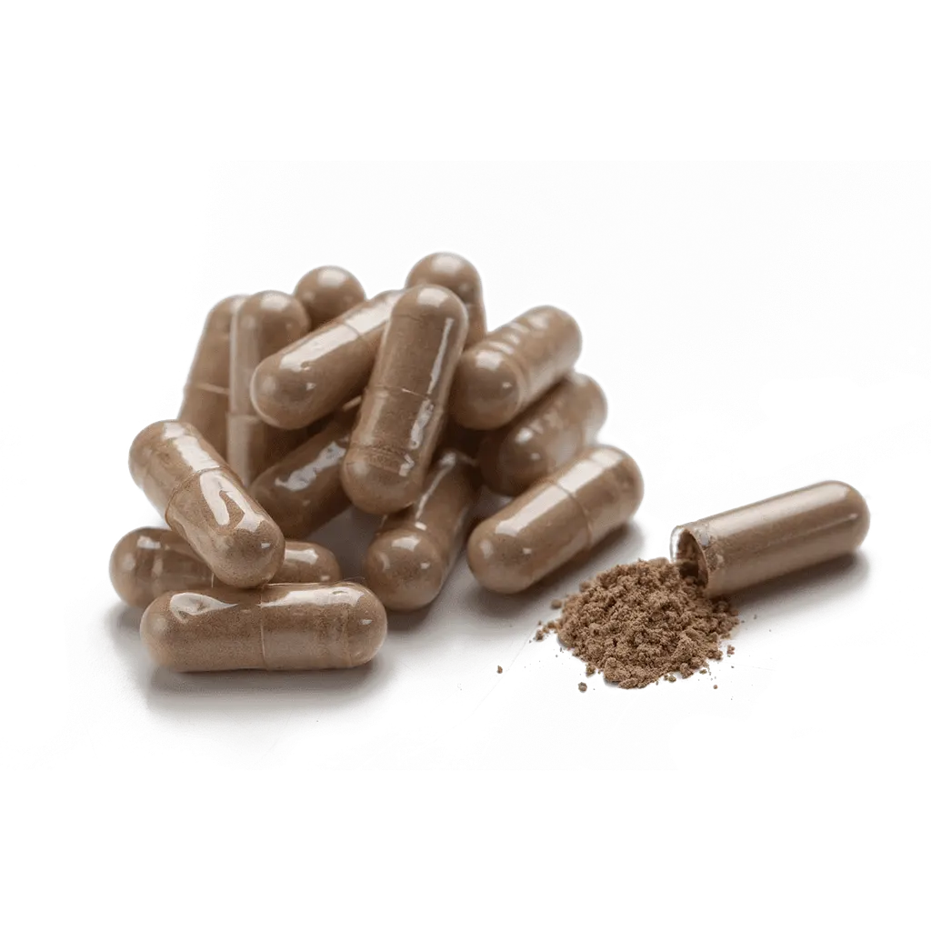 Буплерум Плюс НСП, 100 капсул | Bupleurum Plus NSP - фото 2