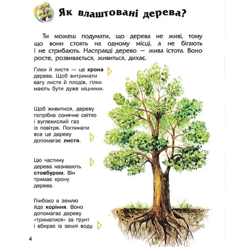 Енциклопедія дошкільника: Ліс - Каспарова Юлія - фото 3