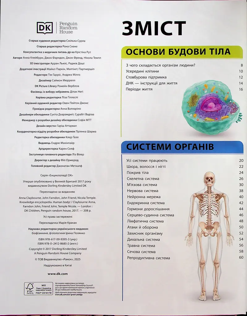 Енциклопедія знань. Тіло людини - Пітер Крісп - фото 3