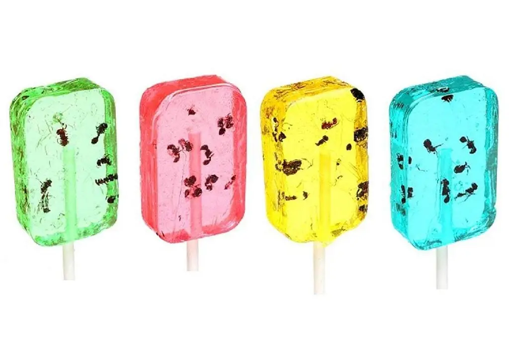 Льодяник із комахою Hotlix Ant Insect Hard Candy Sucker 1шт, 28г - фото 2