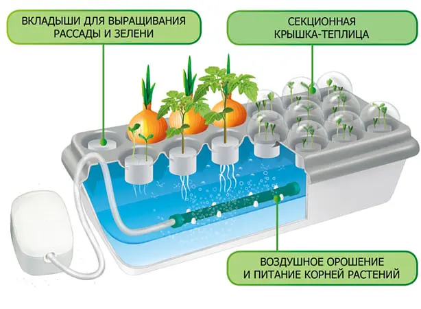 Домашня гідропонна установка Чудо-Грядка - фото 5