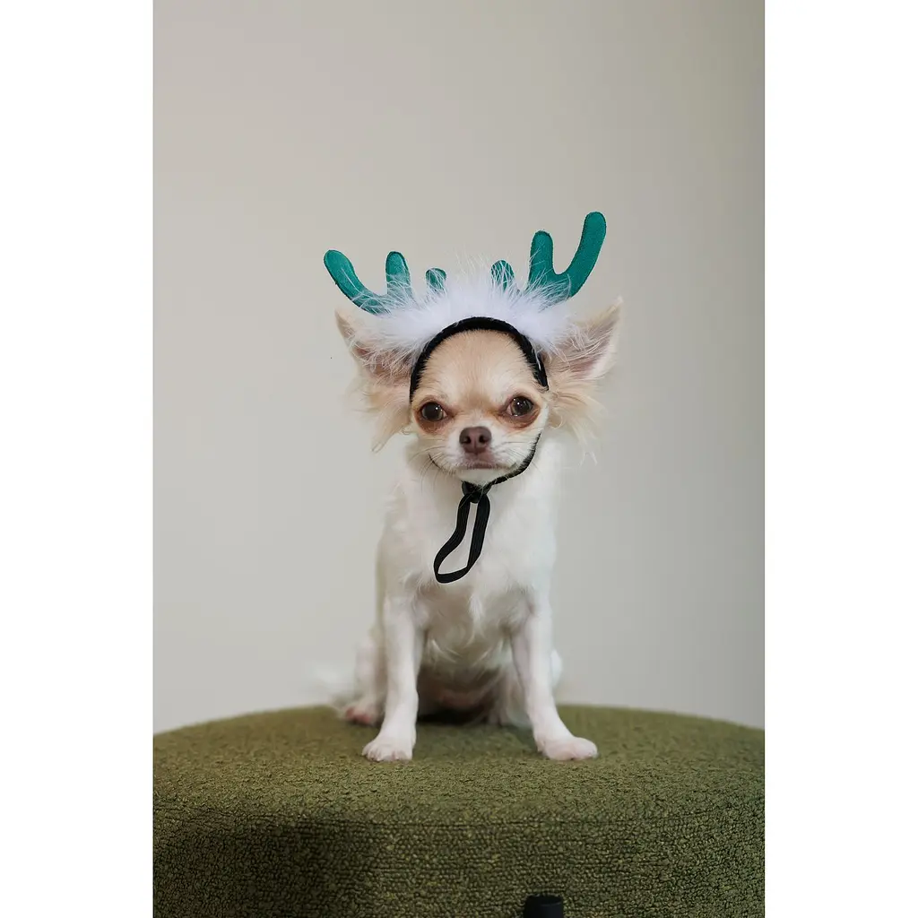 Аксесуар для собак Pet Fashion Deer M-L - фото 6