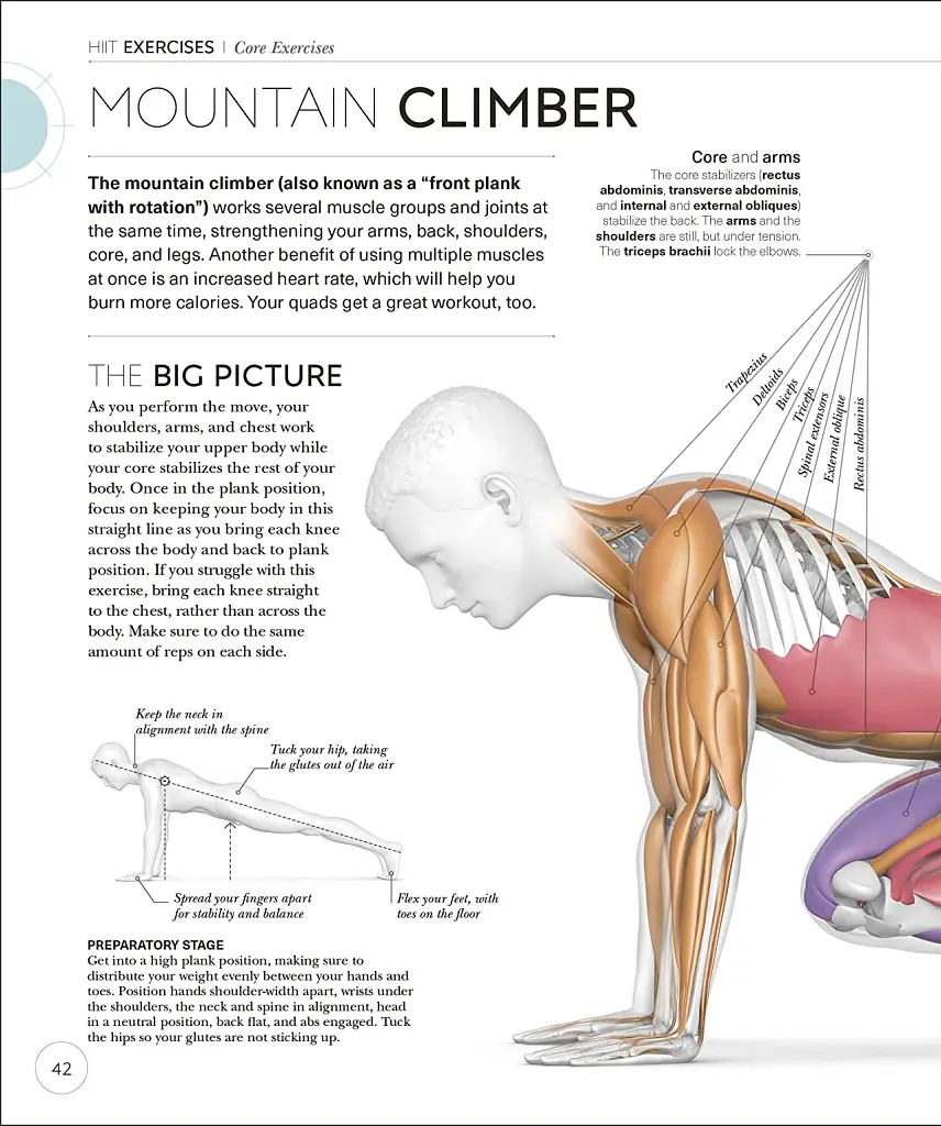 Science of HIIT - фото 7