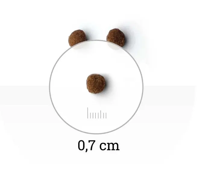 Сухий корм Natyka Instinct Kitten 2 кг для кошенят з куркою - фото 2