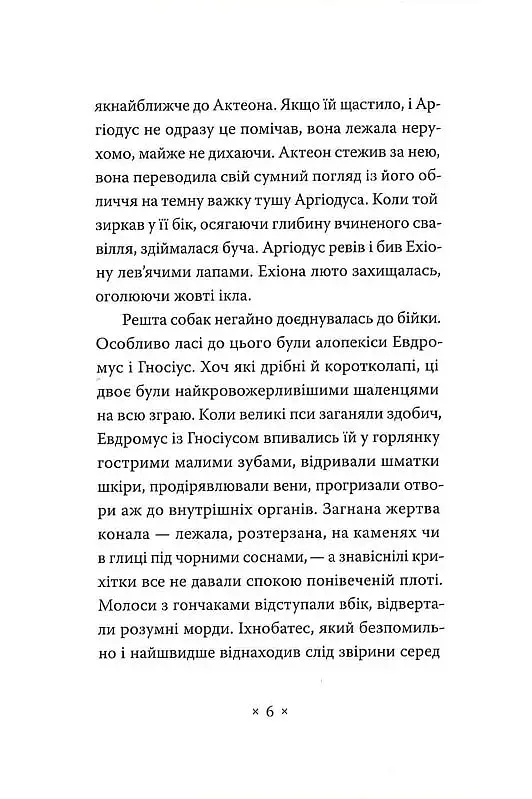 Катананхе - Софія Андрухович - фото 4