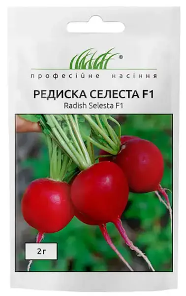 Насіння редису Селеста 3г (Професійне насіння)
