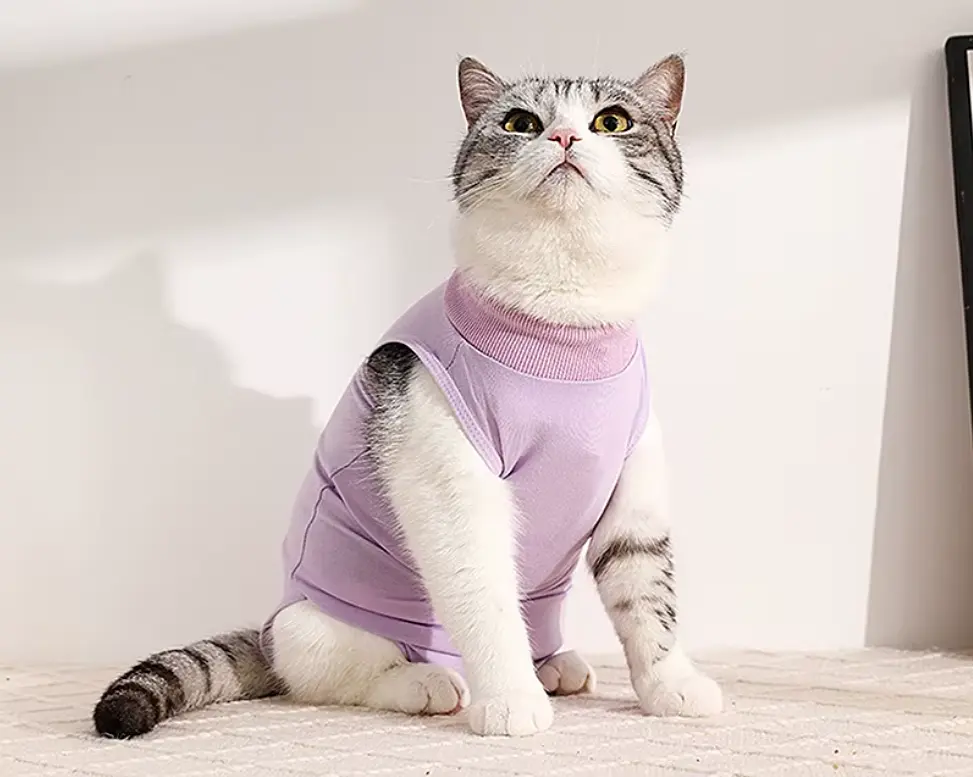 Одяг для котів після операції Holley Purple L - фото 2