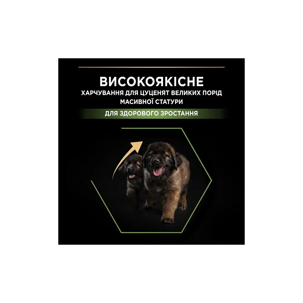 Сухий корм для собак Purina Pro Plan Dog Large Puppy Robust з куркою і рисом 12 кг (7613035120341) - фото 5