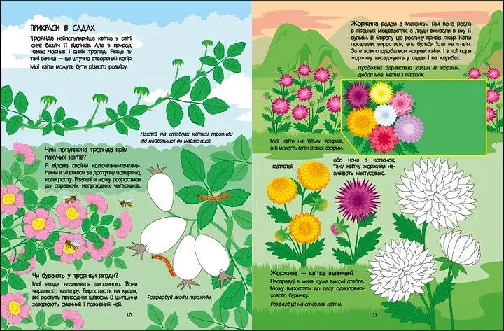 Рожева книжка про квіти АРТ15209У shop (9786170992628) - фото 3