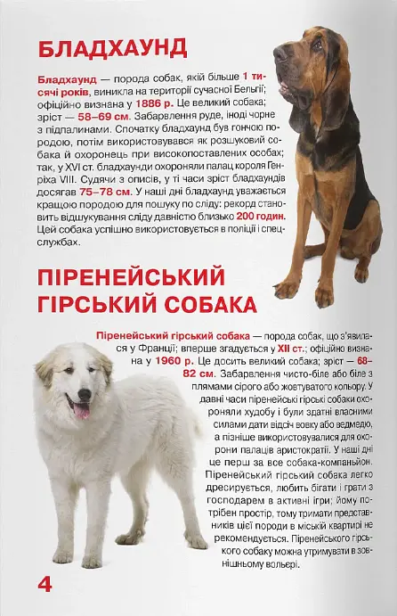 Велика книжка. Службові собаки - Олег Зав'язкин - фото 3