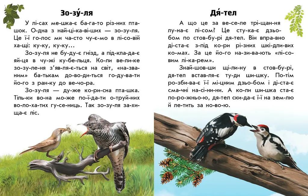 Книга Ранок Читаю про Україну. Тварини лісів - Юлія Каспарова (С366023У) - фото 3