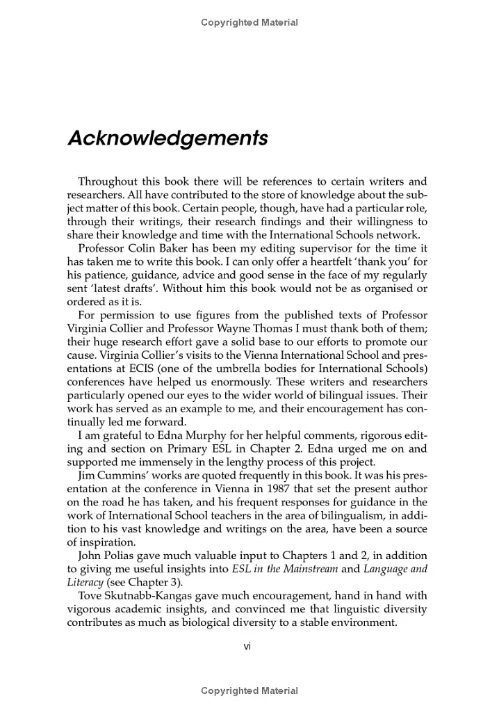 Bilingualism in International Schools - Maurice Carder - фото 4
