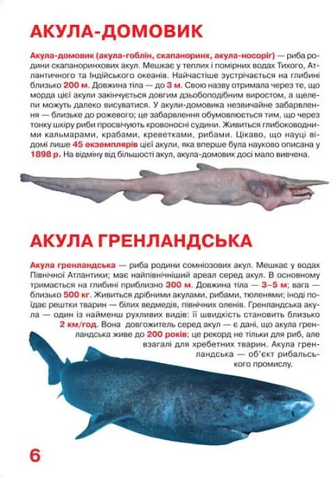 Велика книжка. Акули - Олег Зав'язкин - фото 4
