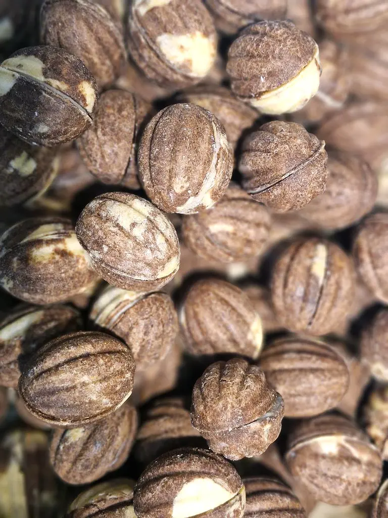 Набір Горішків Орео 12 шт. в упаковці - фото 3