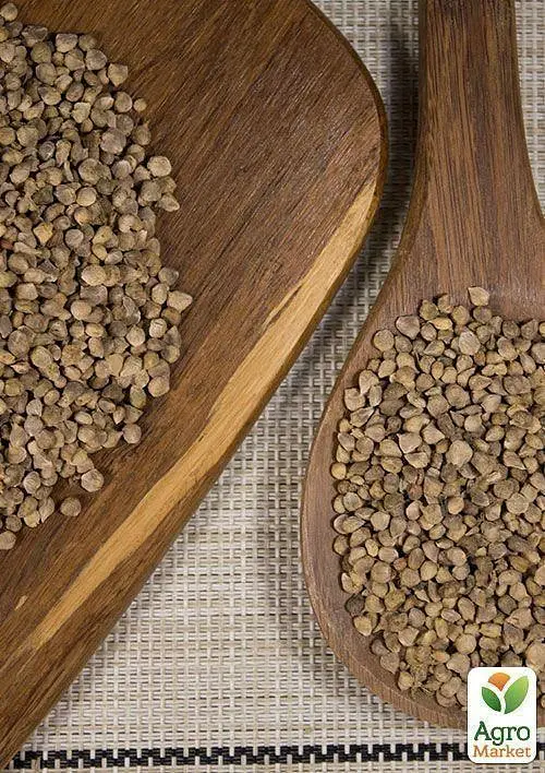 Насіння Agro-Market Шпинат Застольний на вагу ціна за 7 г (13356) - фото 3
