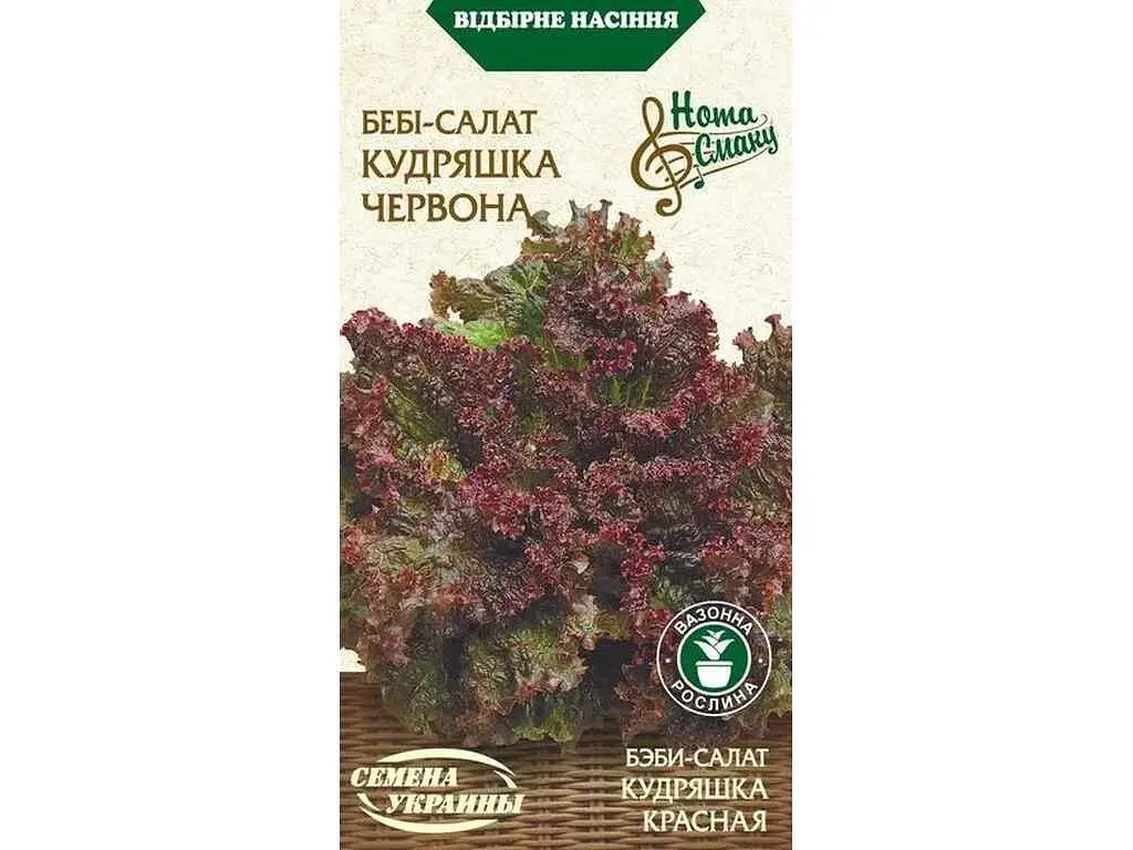 Салат-бебі НАСІННЯ УКРАЇНИ (20 пачок) КУДРЯШКА ЧЕРВОНА НВ 1г