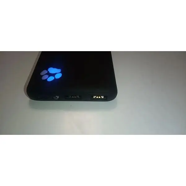 Портативний зарядний пристрій Iniu PowerPaw Slim BI-B41 10000 mAh 20W 5V 3A - фото 4
