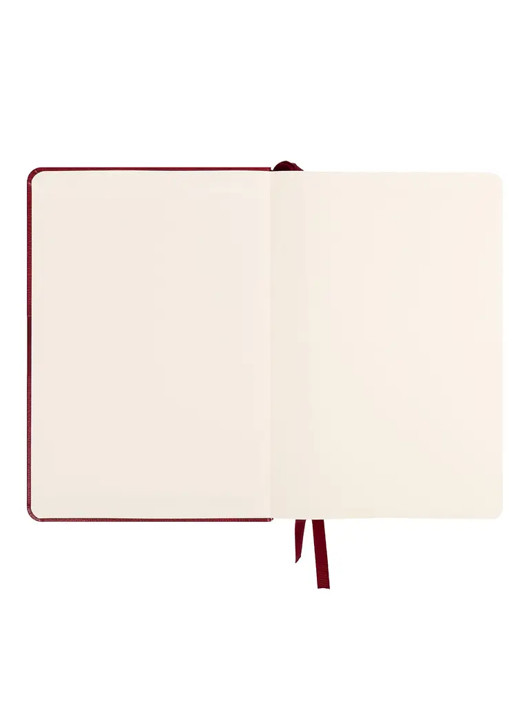 Щоденник 2027 А5 LEO Planner Persona датований бордовий (252748) - фото 3