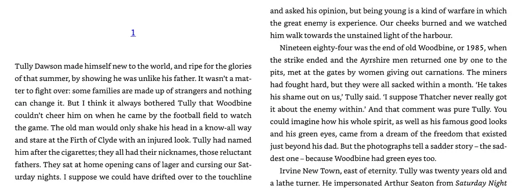 Mayflies - фото 2