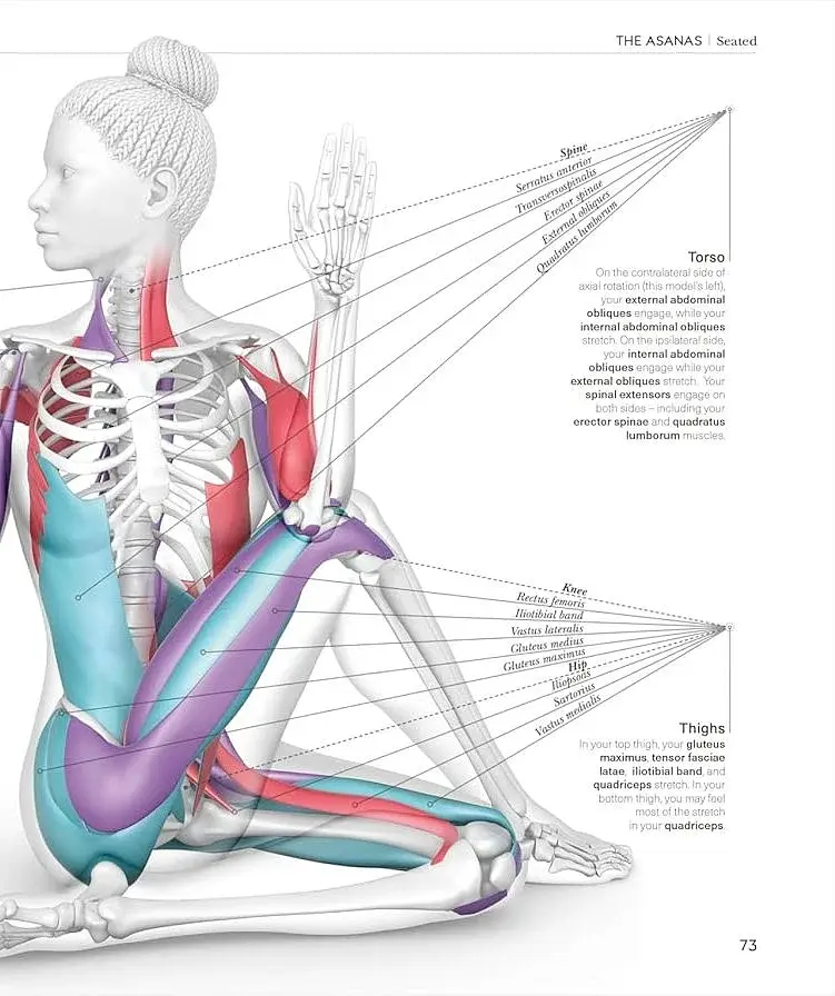Science of Yoga. Understand the Anatomy and Physiology to Perfect Your Practice - фото 10