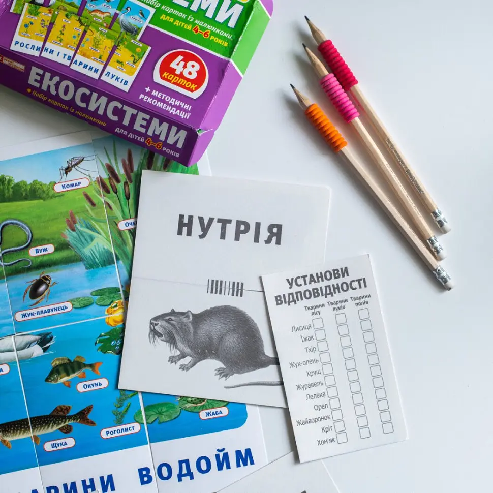 Набір тематичних карток "Екосистеми" 13169003 для дітей 4-6 років - фото 5