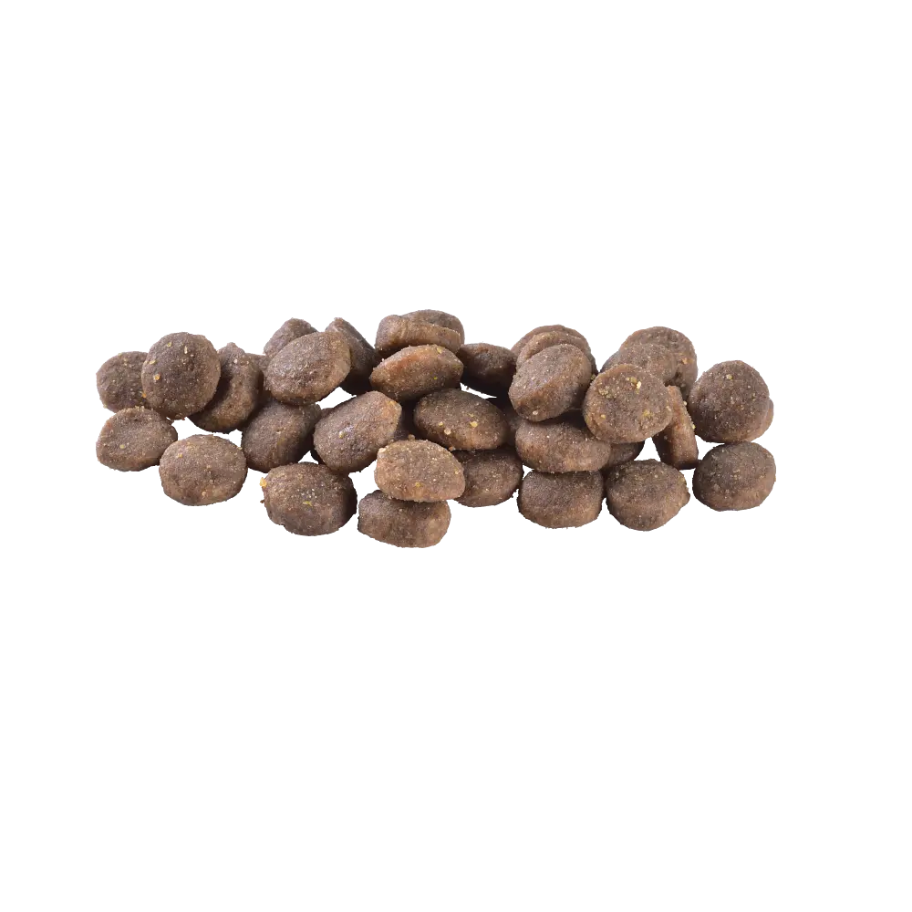 Сухий корм Brit Care Dog Grain-free Puppy для цуценят, беззерновий з лососем, 1 кг - фото 8