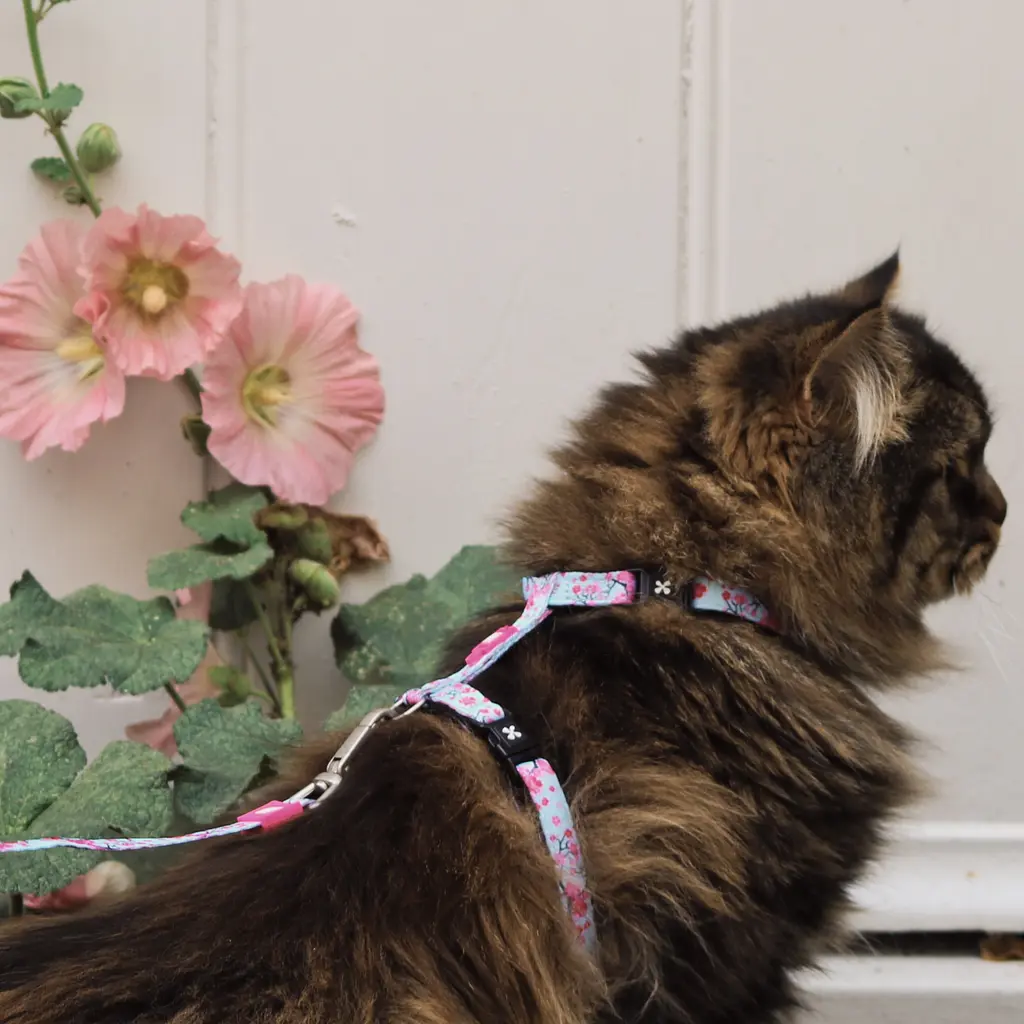 Набір для котів Шлея-повідець Max & Molly Harness Cherry Bloom 1 розмір  - фото 3