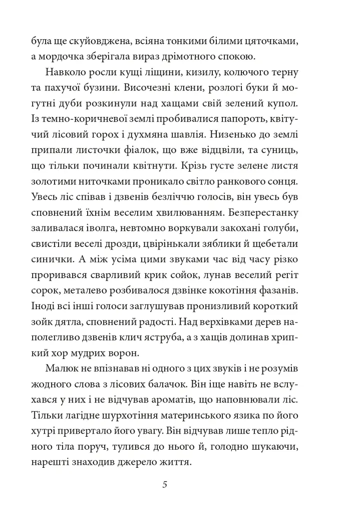 Бембі. Лісова історія життя - Фелікс Зальтен - фото 6