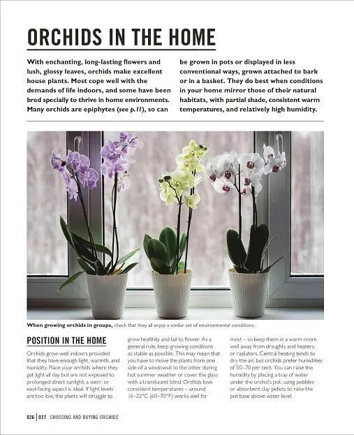 Grow Orchids. Essential Know-how and Expert Advice for Gardening Success - Andrew Mikolajski - фото 6