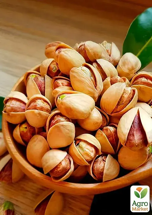 Саженец Agro-Market Фисташка 2-летняя Кыргызская (морозостойкая, не подверженная болезням) 1 шт. в упаковке (178896) - фото 3