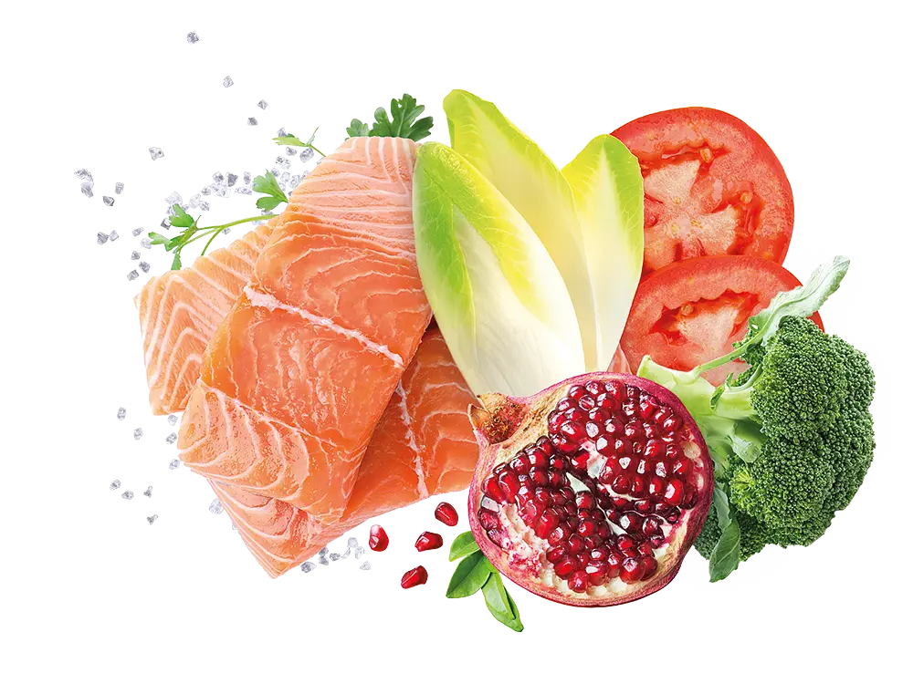 Корм Exclusion Adult Salmon для взрослых собак всех пород с лососем 400 г - фото 2