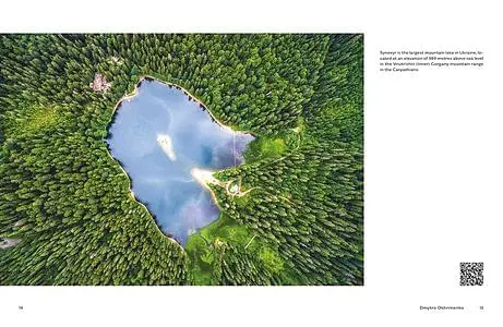 Ukraїner. Ukrainian Insider - Богдан Логвиненко - фото 5