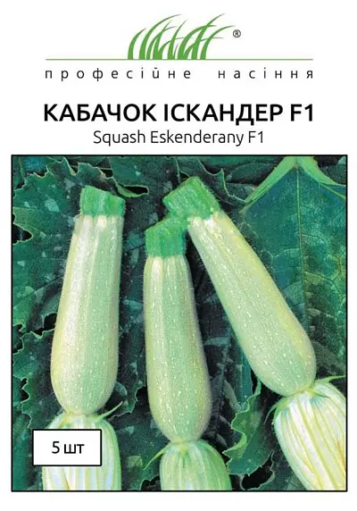 Насіння кабачка Іскандер F1 5 шт (Професійне насіння)