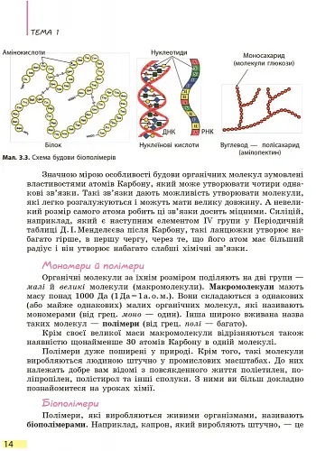 Біологія. Підручник. 9 клас - Костянтин Задорожний - фото 13
