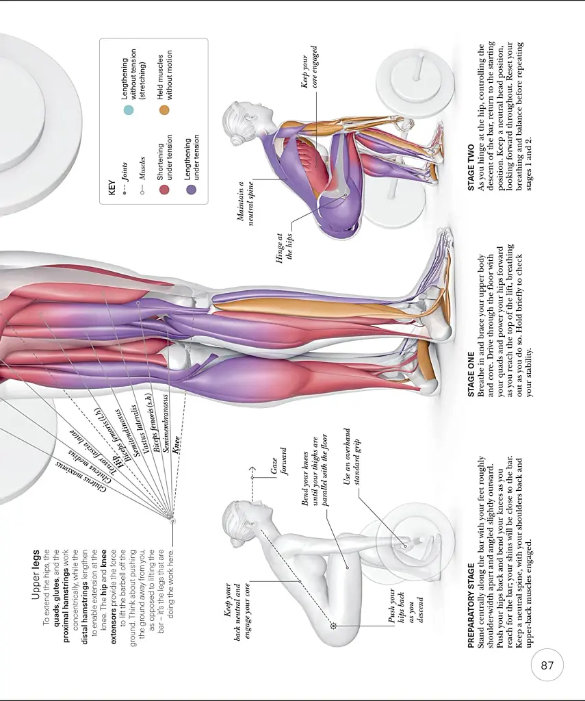 Science of Strength Training - фото 9