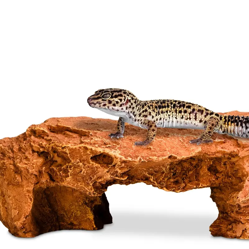 Декорація криївка Terrario Mountain Shelf M 22x17x8,5см (23188) - фото 3