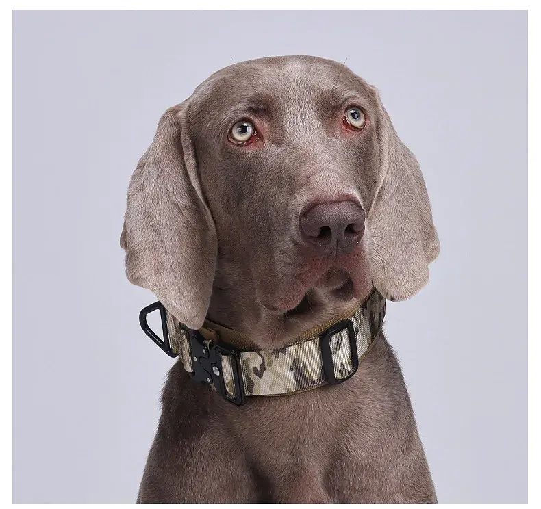 Нашийник для собак Woofy, нейлоновий з металевою пряжкою-фастекс, світловідбиваючий, камуфляж, М - фото 3