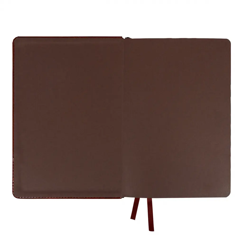 Щоденник діловий Leo Planner 2027 Whisky А5 твердий коричневий 368 сторінок (252756) - фото 5