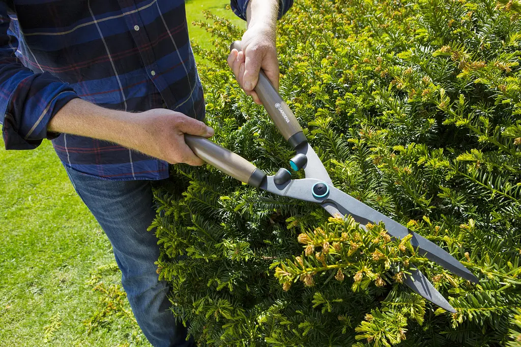 Ножиці для живоплоту механічні Gardena NatureCut та секатор Classic 8754 (12300-30) - фото 4