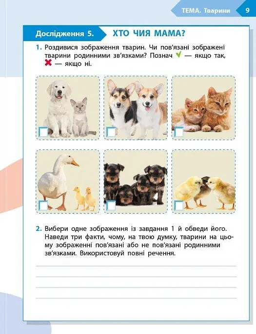 STEM-Старт. Зошит для учня. Наука про життя. 3 клас - Ірина Потапенко - фото 4