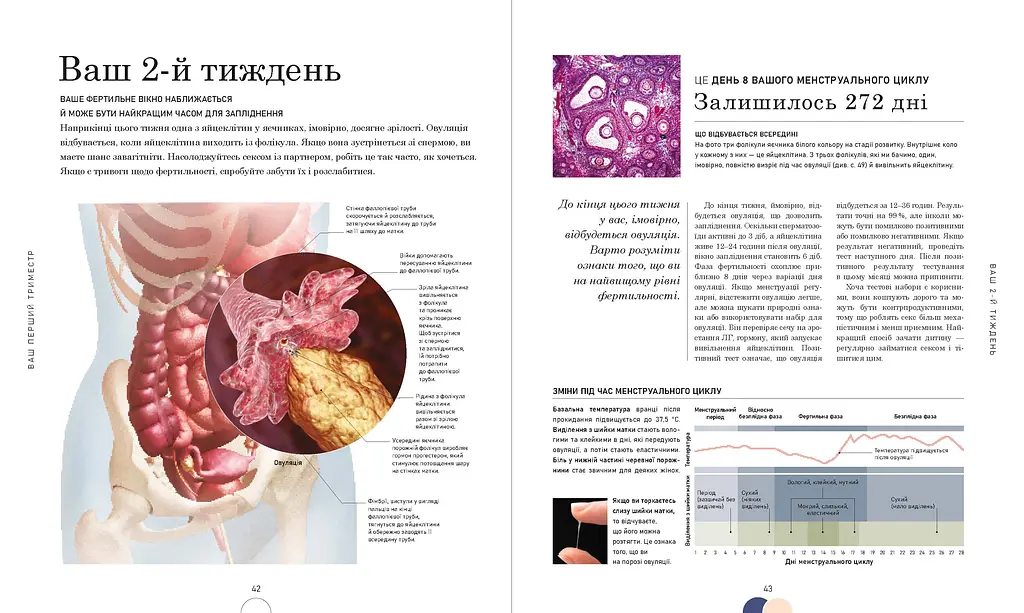 Вагітність день за днем - Меґґі Блотт (518979) - фото 7