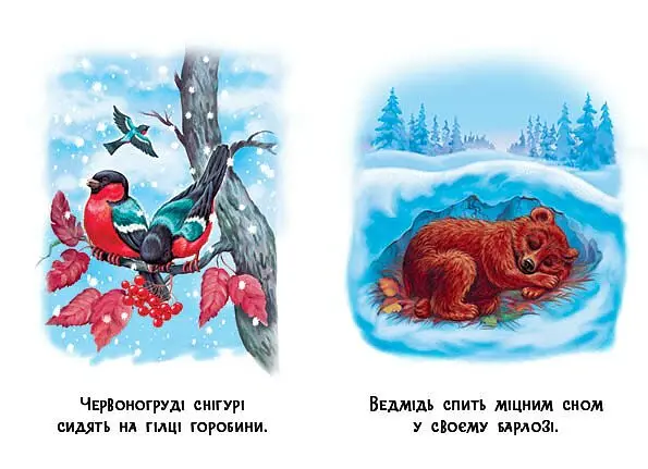 22 картинки. Пори року - - фото 4