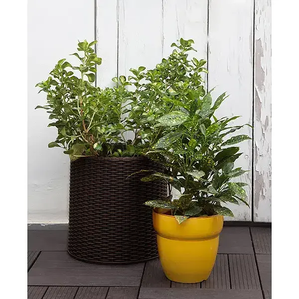 Цветочный горшок Keter M Cylinder Planter коричневый 18 л (17197934521_M) - фото 3