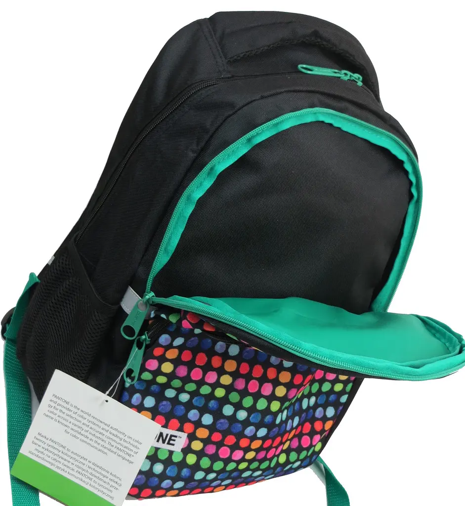 Рюкзак молодіжний Paso 00-699PAN 22L Різнокольоровий - фото 7